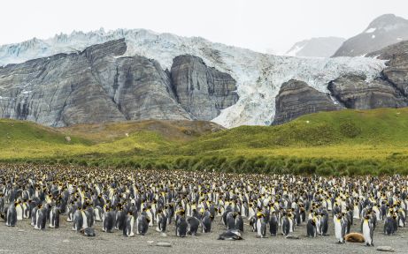 Islas Falkland, Georgia del Sur y la Antártida