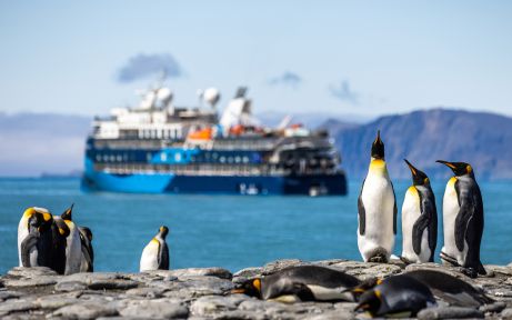 Aventuras épicas en la Antártida y Georgia del Sur